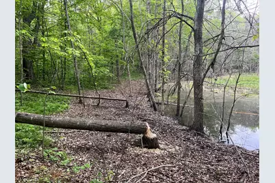 Xxx Crust Road, Brainerd, MN 56401 - Photo 22