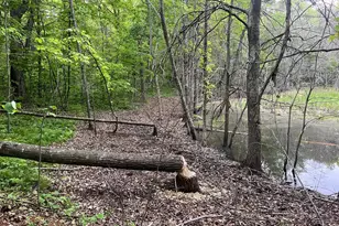 Xxx Crust Rd, Brainerd, MN 56401 - Photo 22