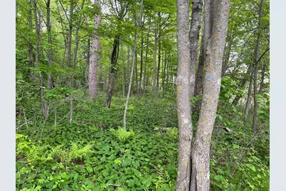 Xxx Crust Road, Brainerd, MN 56401 - Photo 36