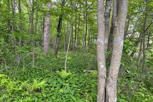 Xxx Crust Rd, Brainerd, MN 56401 - Photo 36