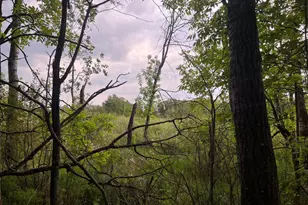 Xxx Crust Rd, Brainerd, MN 56401 - Photo 34