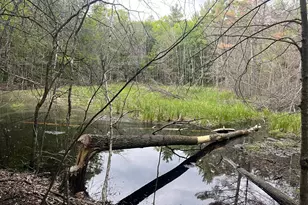 Xxx Crust Rd, Brainerd, MN 56401 - Photo 24