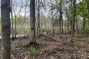 Xxx Crust Rd, Brainerd, MN 56401 - Photo 50