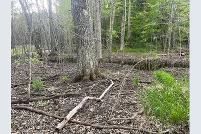 Xxx Crust Road, Brainerd, MN 56401 - Photo 52