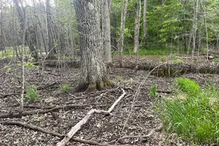 Xxx Crust Rd, Brainerd, MN 56401 - Photo 52