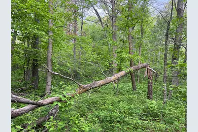 Xxx Crust Road, Brainerd, MN 56401 - Photo 28