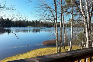 6565 White Pine Ln, Biwabik Township, MN 55741 - Photo 22