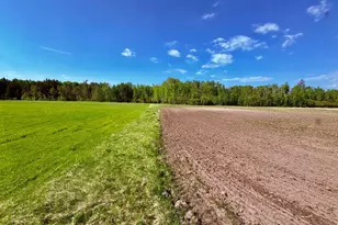 1622 82nd Ave NW, Williams, MN 56686 - Photo 92