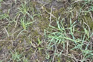 1622 82nd Ave NW, Williams, MN 56686 - Photo 98