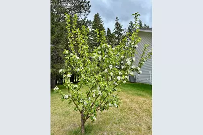 1622 82nd Avenue NW, Williams, MN 56686 - Photo 46