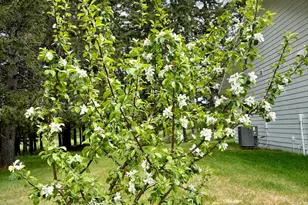 1622 82nd Ave NW, Williams, MN 56686 - Photo 46