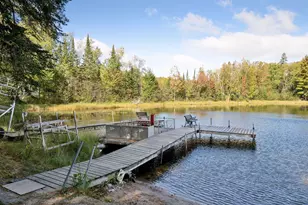46771 Smith Lake Rd, Marcell, MN 56657 - Photo 42