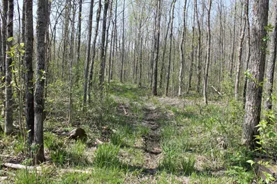 2668 M T Nelson Road, Barnum, MN 55707 - Photo 24