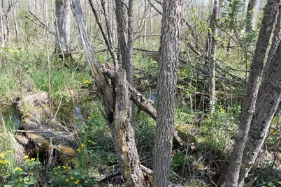 2668 M T Nelson Road, Barnum, MN 55707 - Photo 16