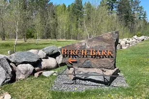5610 Birch Bark Landing, Biwabik, MN 55708 - Photo 1