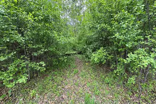 Tbd Walnut Street S, Mora, MN 55051 - Photo 1