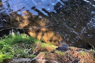 8586 W Graves Lake Rd NE, Remer, MN 56672 - Photo 16