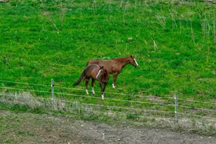 17690 Clayton Ave E, Vermillion Twp, MN 55068 - Photo 112