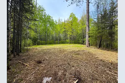 72Xx E Central Lakes Road Lot F, Eveleth, MN 55734 - Photo 4