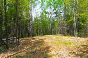 72Xx E Central Lakes Road Lot G, Eveleth, MN 55734 - Photo 1