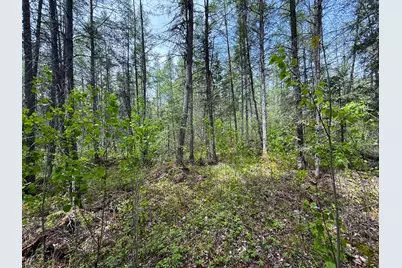 72Xx E Central Lakes Road Lot G, Eveleth, MN 55734 - Photo 18