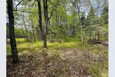 72Xx E Central Lakes Road Lot G, Eveleth, MN 55734 - Photo 10