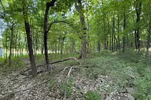 Xxxx Jalger Ave SE, Buffalo, MN 55313 - Photo 4