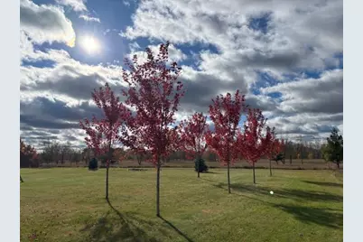 1067 Jessie Street, Saint Paul, MN 55130 - Photo 34