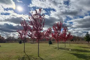 1067 Jessie St, Saint Paul, MN 55130 - Photo 34