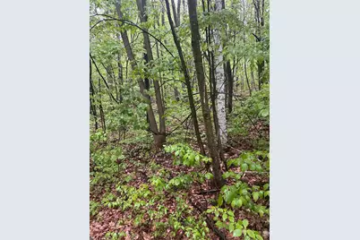 Tbd Flintstone, Cushing Township, MN 56443 - Photo 1