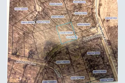 Tbd Flintstone, Cushing Township, MN 56443 - Photo 4