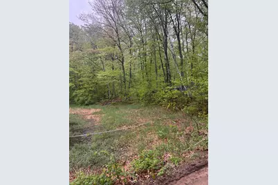 Tbd Powder Horn, Cushing Township, MN 56443 - Photo 2