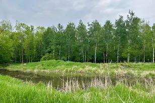 10696 Leaf River Rd, Leaf River Twp, MN 56482 - Photo 32