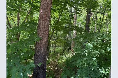 15Xxx Riverside Drive, Brainerd, MN 56401 - Photo 10