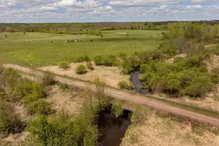 36037 678th St, Hill Lake Twp, MN 55748 - Photo 8