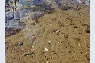 320Xx 452nd St [a2], Vergas, MN 56587 - Photo 12