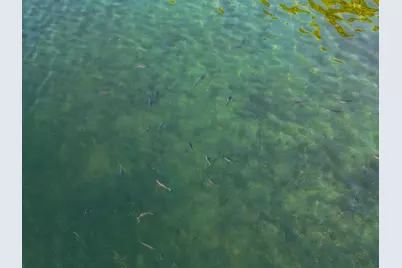 320Xx 452nd St [a2], Vergas, MN 56587 - Photo 16