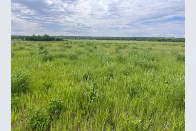 31099 El Mar Circle, Paynesville Township, MN 56362 - Photo 1