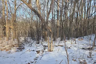 9492 N Shr Trl N, Forest Lake, MN 55025 - Photo 1