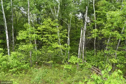 44863 State Highway 48, Hinckley, MN 55037 - Photo 8