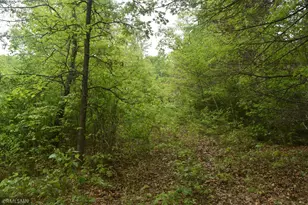 44863 State Hwy 48, Hinckley, MN 55037 - Photo 10