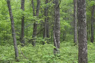 44863 State Hwy 48, Hinckley, MN 55037 - Photo 4