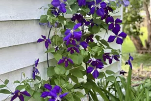 301 19th Ave N, Hopkins, MN 55343 - Photo 50