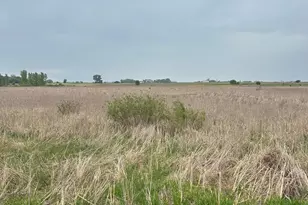 975 175th Ave SE, Kerkhoven, MN 56252 - Photo 26