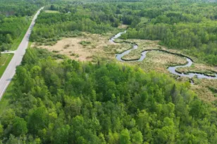 Tbd State Hwy 6, Remer, MN 56672 - Photo 1