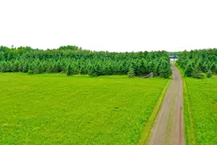 2655 Quail St, Brook Park, MN 55007 - Photo 4