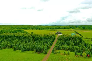 2655 Quail St, Brook Park, MN 55007 - Photo 6