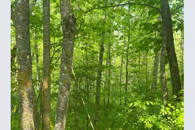 Tbd Dettbarn Rd., Nisswa, MN 56468 - Photo 4