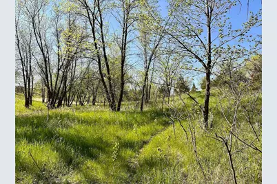Xxx Us-71, Little Sauk, MN 56378 - Photo 1