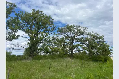 Tbd Highway 56, Le Roy, MN 55951 - Photo 4